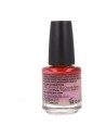 Mollon Pro Hardening Nail Lacquer Color 324 15ml