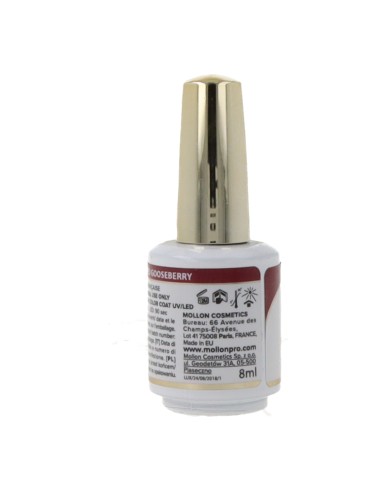 Mollon Pro Luxury Color Coat 8 Ml 24