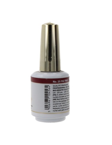 Mollon Pro Luxury Color Coat 8 Ml 25