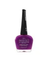 MASGLO GEL EVOLUTION EXÓTICA 13,5ML