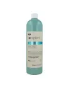 LISAP KERAPLANT ENERGIZING CH 1000ML