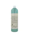 LISAP KERAPLANT ENERGIZING CH 1000ML