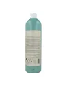 LISAP KERAPLANT ENERGIZING CH 1000ML