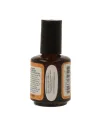 Masglo Sellante de Acrilico 15 ml