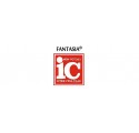 Fantasia IC