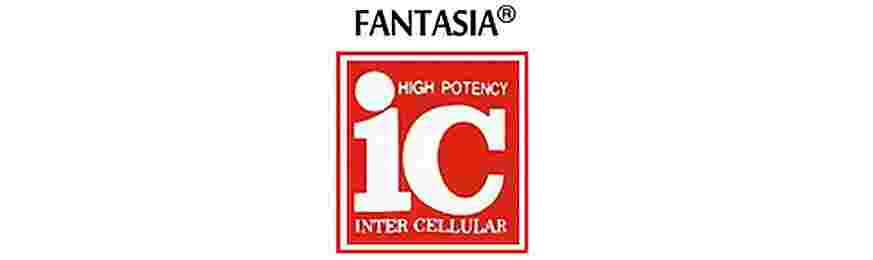 Fantasia IC